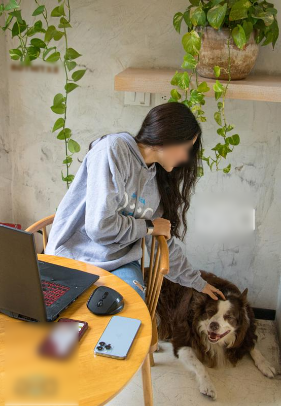 Profitable Pet Shop Seeking Loan in Los Angeles, United States seeking