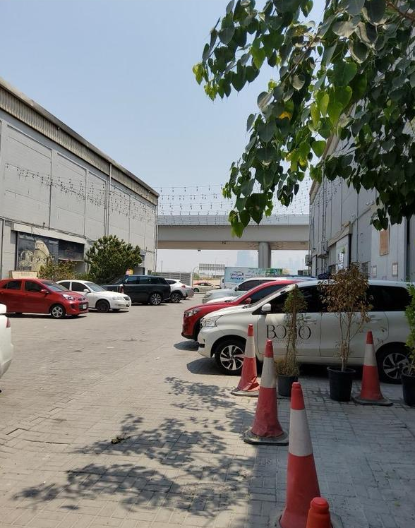 Seafood Processing Company Seeking Loan in Dubai, United Arab Emirates