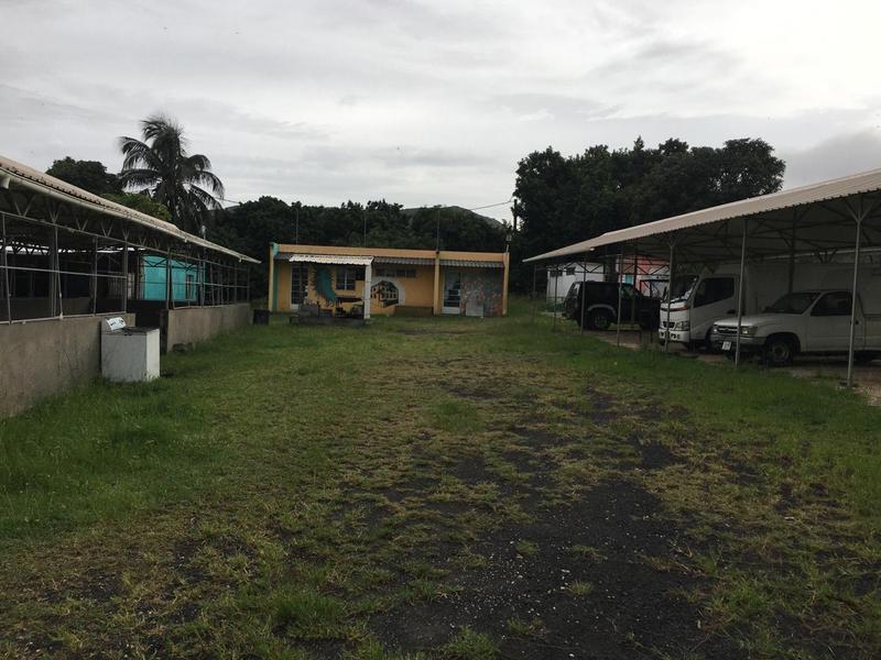 Ready-Made Meals Company Investment Opportunity in Bambous, Mauritius