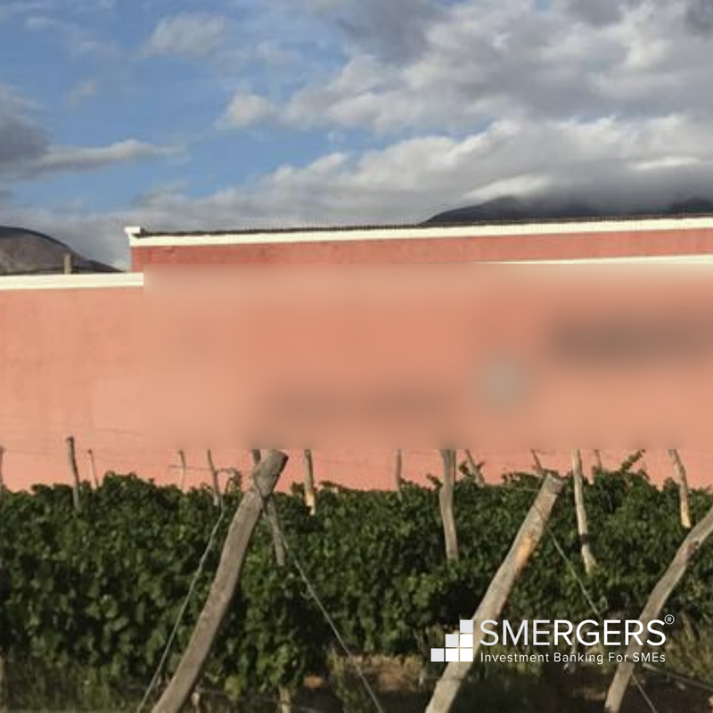 Winery for Sale in Cafayate, Argentina