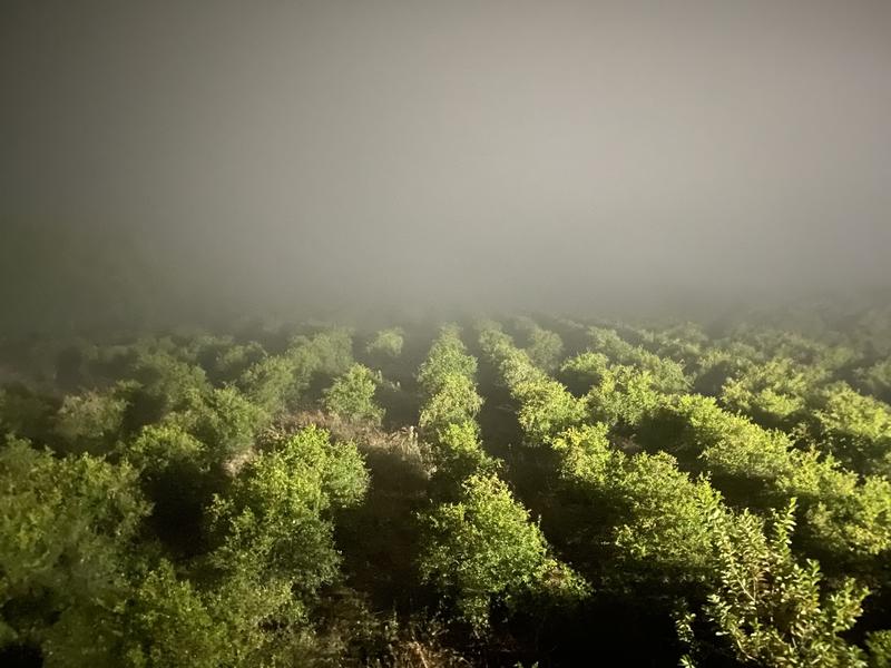 Newly Established Resort Investment Opportunity in Indore, India