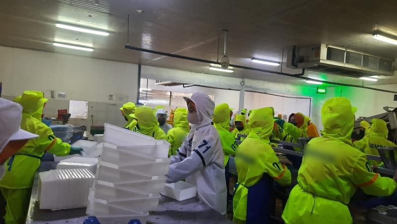 Seafood Processing Company Seeking Loan in Surabaya, Indonesia