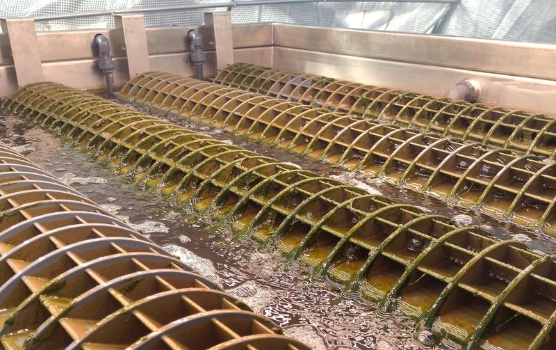 Water Treatment Company Investment Opportunity in Caldas da Rainha, Portugal