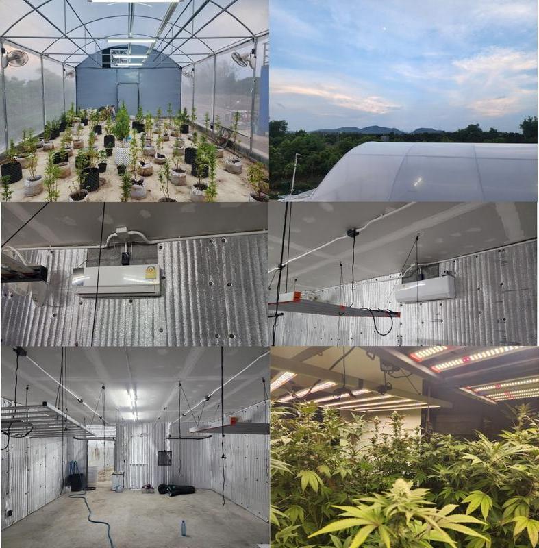 Profitable Commercial Nurseries Company for Sale in Pa Sang, Thailand