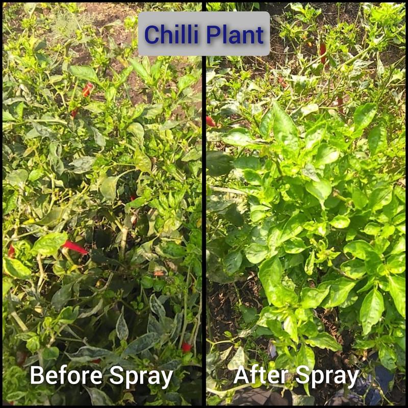 Profitable Pesticide Company Investment Opportunity in Mumbai, India