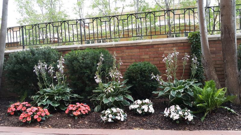 Garden Nursery For In Denver United States Seeking Usd 175 Garden Nursery For In Denver United States