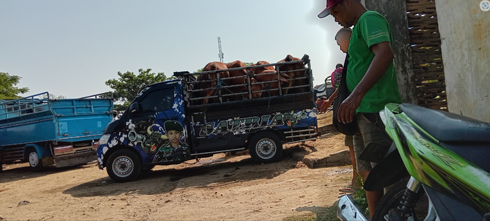 Halal Slaughterhouse Investment Opportunity in Bareng, Indonesia