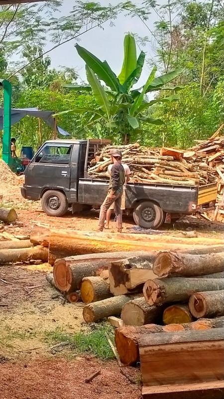 Sawmill Investment Opportunity in Pekalongan, Indonesia