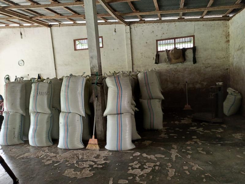Coffee Estate Seeking Loan in Krui, Indonesia