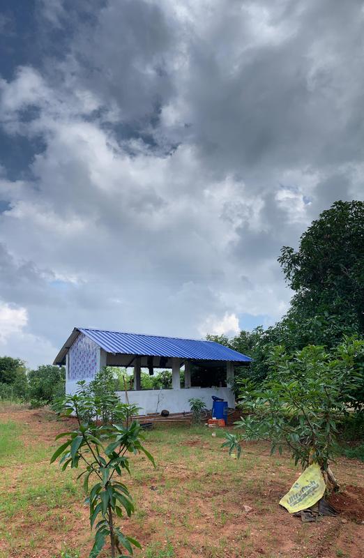 Tree Farm Investment Opportunity in Kanchipuram, India