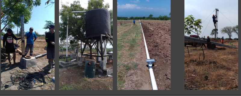 Organic Farming Business Seeking Loan in Pasuruan, Indonesia