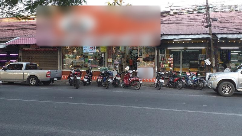 Profitable Pet Shop for Sale in Chiang Mai, Thailand