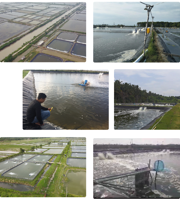 Aquaculture Company Investment Opportunity in Bandar Lampung, Indonesia