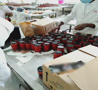 Frozen Foods and authentic organic condiments manufacturing company for households, restaurants, and export bulk buyers.