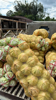 Vegetables wholesale company with contracts worth 3.5 tons/day seeks funds to grow.