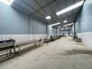 Acquire a modern frozen food processing/cold storage unit with 1,000 MT capacity and IQF line.