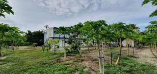 Agricultural business producing fruits and vegetables with a monthly manufacturing capacity of 4-5 tonnes.