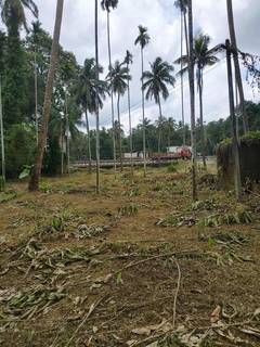 NH 544–frontage 44-cent commercial plot in Thrissur offered for outright sale.
