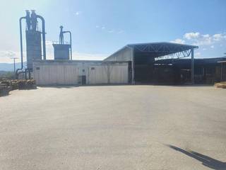 For Sale: FSC-certified oak wood processing company with EU clientele, full facilities, expansion-ready production capacity.