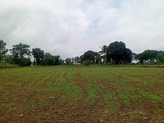KIIDC approved Industrial land for sale in Jigani Industrial area.