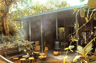 Profitable Bar for Sale in Tulum, Mexico