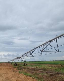Agri-company looking for financing to install central pivot irrigation system and sow 200,000 cashews plants.