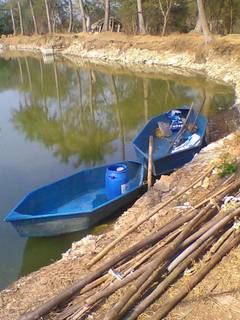 Fish farming venture using leased tanks with 7 tons per acre capacityy, seeking working capital.