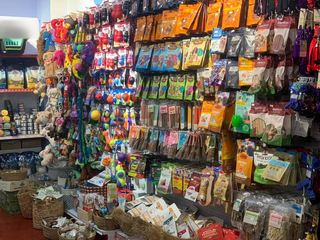Dubai pet food shop outlet