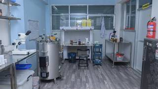 Medicinal mushroom cultivation and supplement business with ISO/GMP certifications, serving B2B and retail health markets.