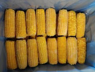 Successful export and domestic agricultural business available for sale, serving diverse global clients.