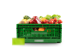 Investment opportunity in an Austrian E-Grocery subscription market leader expanding globally.