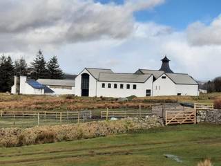 UK whisky distillery project seeking a strategic investor to complete construction and commence commercial operations.