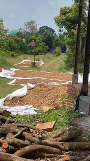 Investment opportunity in a renewable energy products trading business for setup of woodchip processing plant.