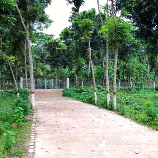 Cocopeat blocks and coconut fiber manufacturing business with 5 distributors based in Jhenaidah, Bangladesh.