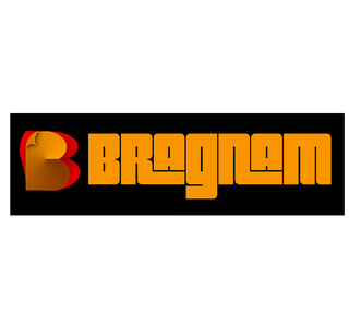 Bragnam, 101 Franchisees, Est'd in 2013, Zirakpur HQ