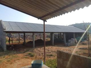 Seeking loan for dairy-farm startup in Kadapa, Andhra Pradesh, targeting buffalo milk production; immediate repayment.