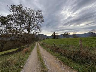 Acquire fully operational 133-hectare dairy farm in Spain with residence, infrastructure, and clean title.