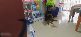 Seeks Investment: Veterinary clinic receiving 5-7 customers daily located near the airport in Kolkata.