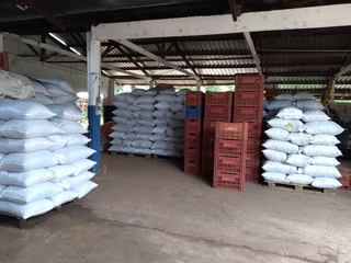 Farmer and exporter of macadamia nut in the shell seeks investment for expansion.