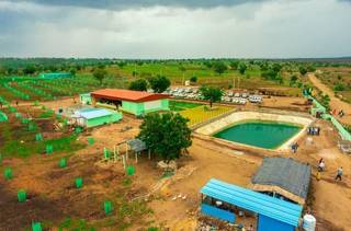 5-gunta agricultural land in Narayankhed with profit-sharing fruit cultivation model and INR 51k booking.