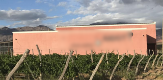 Boutique winery and vineyards for sale in north of Argentina with 20 hectares of land.