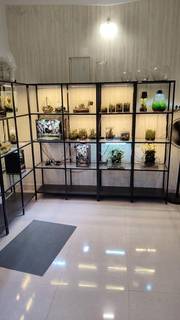 Specialized biophilic design business offering custom terrariums, aquariums and living walls, with recurring AMCs.