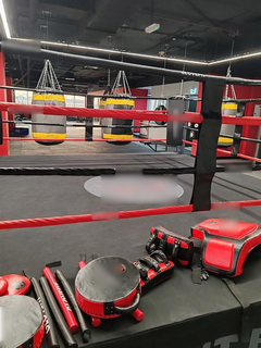 For Sale: Specialized boxing, kickboxing, and CrossFit gym with 39 members and strong growth potential.