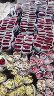 Business with focus on supplying quality flowers all over Riyadh seeks funds to grow.