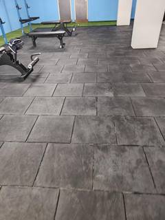 Newly established unisex gym in Bangalore with over 30 active client bases.