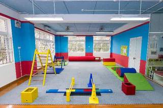 For Sale: Preschool mobile physical development programme vendor and franchisor with 18+ clients.
