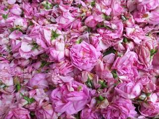 Manufacturer and distributor of ruh gulab and rose water currently supplying to one company.