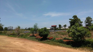 Contract farmer with high-quality processing systems and 1.9 million sq. ft. of land for sale.