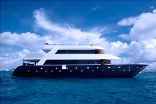Safari business operating surfing and cruising with an occupancy rate of 80% throughout the year.