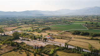 For Sale: 25-acre agricultural land in Kalamata, Greece, suitable for industrial / agricultural use.
